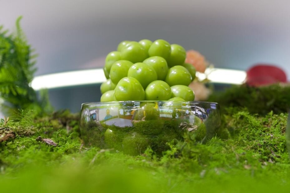 la-tecnologia-se-encuentra-con-el-suelo:-como-el-empuje-digital-de-china-transforma-la-agricultura-en-todo-el-mundo