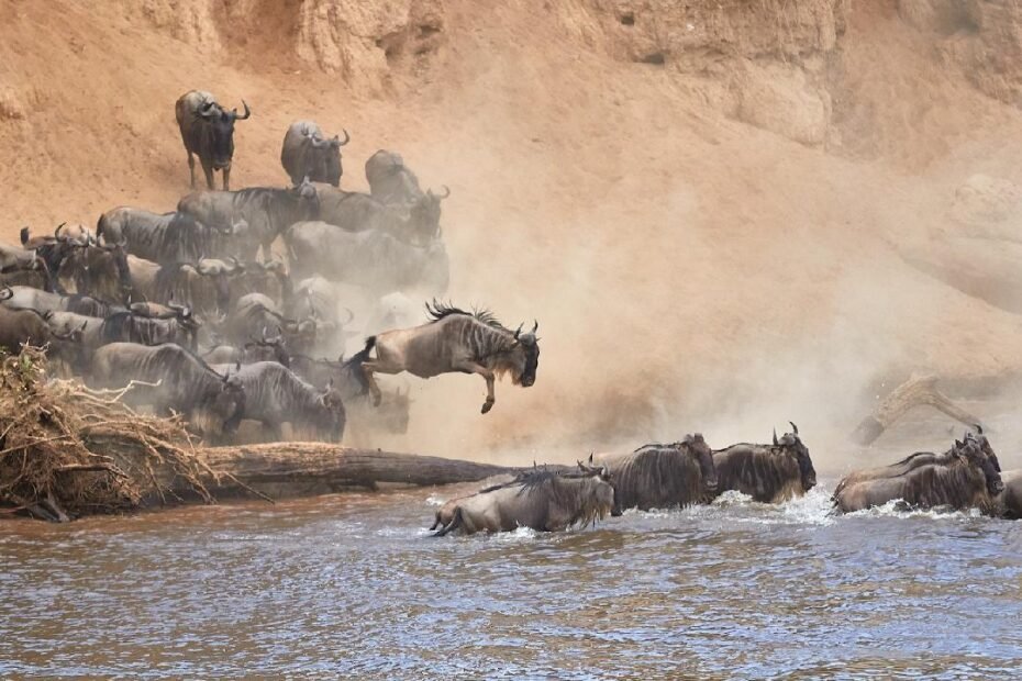 kenia-impulsa-el-turismo-ante-el-comienzo-de-la-migracion-de-los-nus