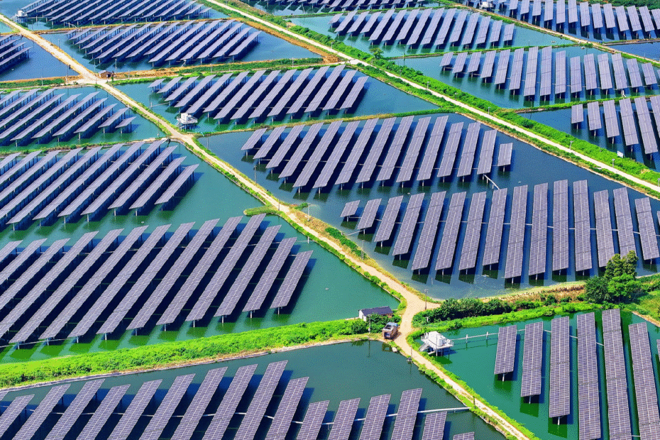 la-era-china-ue-de-la-ecoproteccion-y-la-accion-por-el-clima