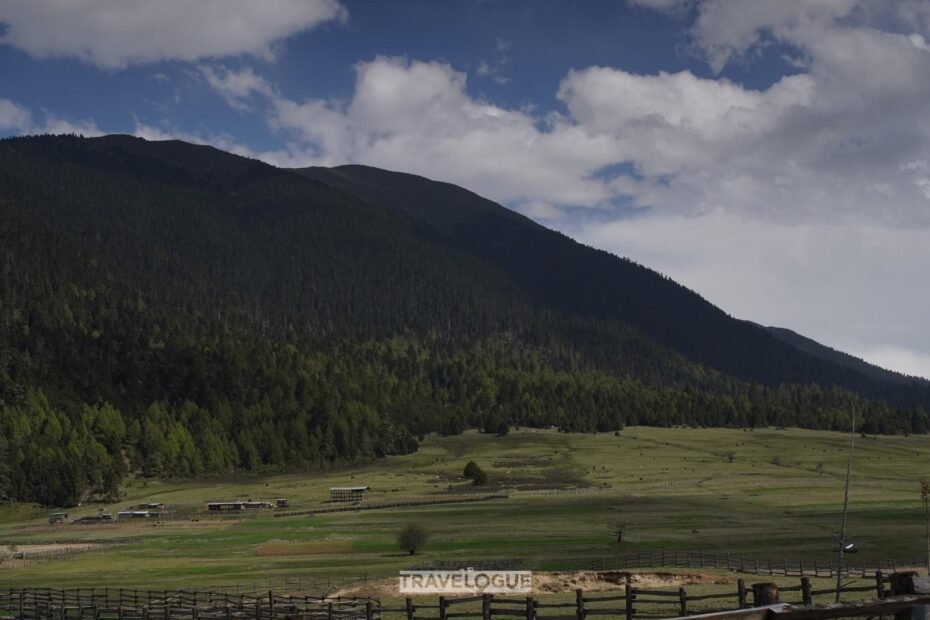 nyingchi:-el-«refugio-de-clima-templado»-de-xizang