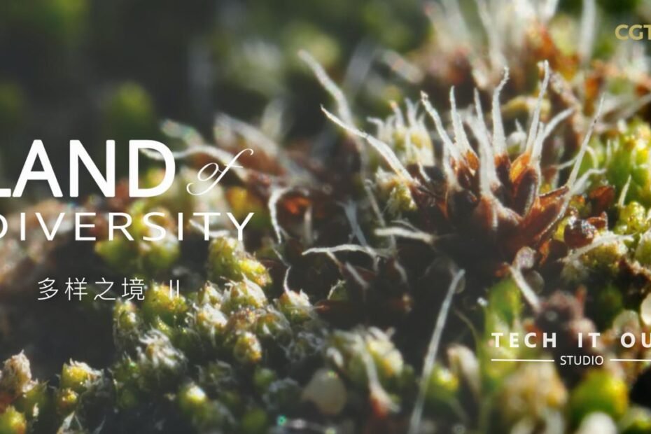 pequeno-pero-poderoso:-el-musgo-desierto-del-que-nunca-has-oido-hablar