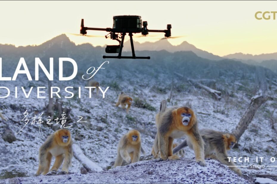 monos-inteligentes,-tecnologia-mas-inteligente