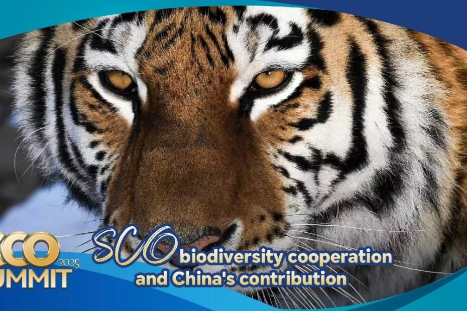 cooperacion-de-la-biodiversidad-sco-y-la-contribucion-de-china