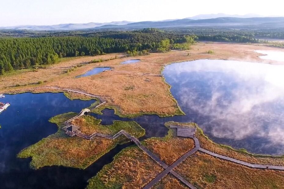 china-acelera-la-transicion-verde-con-ganancias-de-energia-limpia