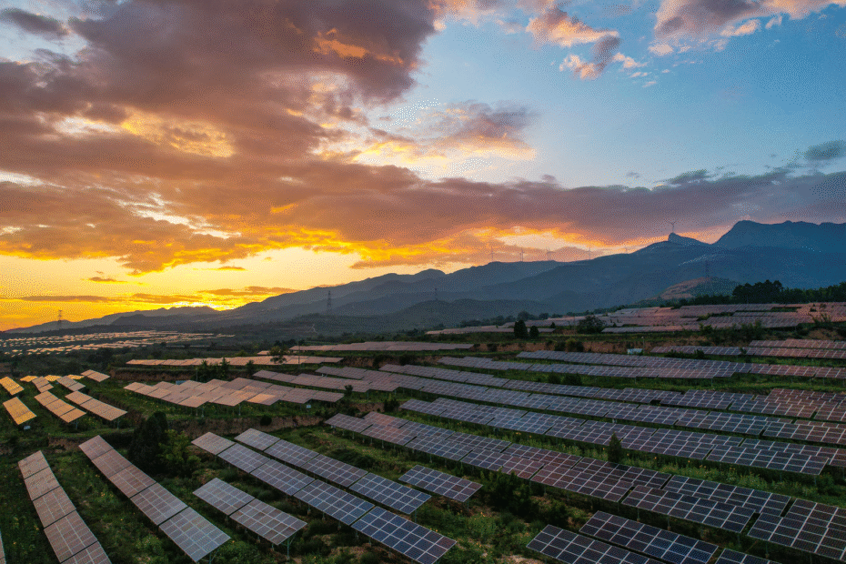 un@80:-la-forma-de-construir-un-futuro-sostenible-del-especialista-en-el-especialista-en-ruanda