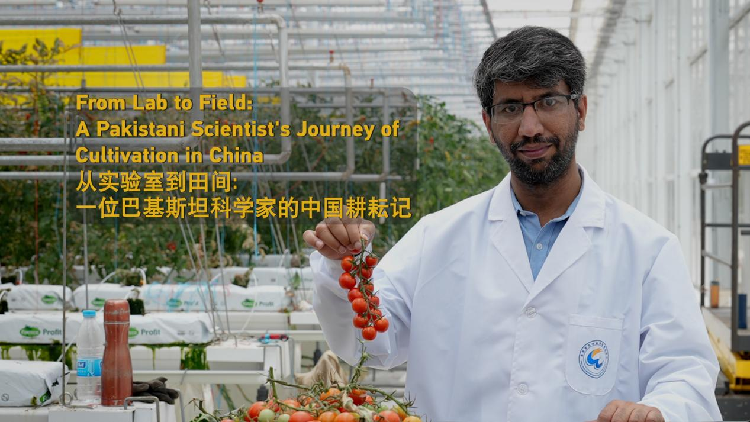 el-viaje-de-cultivo-de-un-cientifico-paquistani-en-china