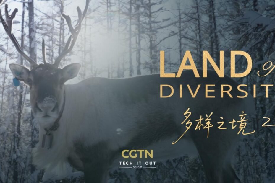 un-cuento-congelado:-el-evenki-y-sus-renos