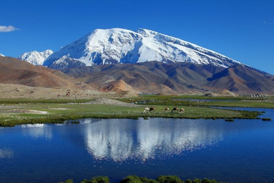 los-cientificos-chinos,-tayikos-se-unen-para-proteger-la-vida-silvestre-de-plateau