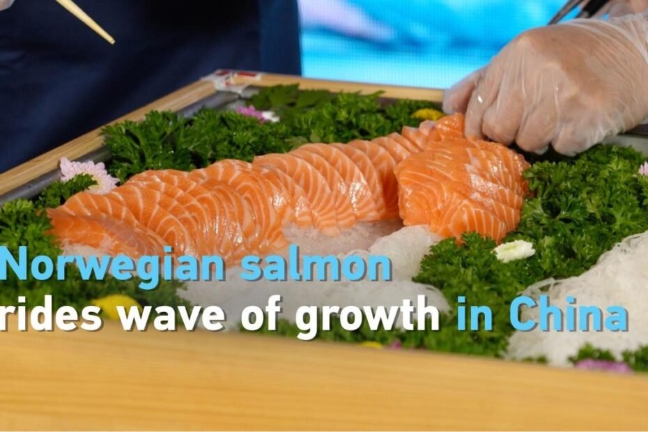 el-salmon-noruego-monta-una-ola-de-crecimiento-en-china