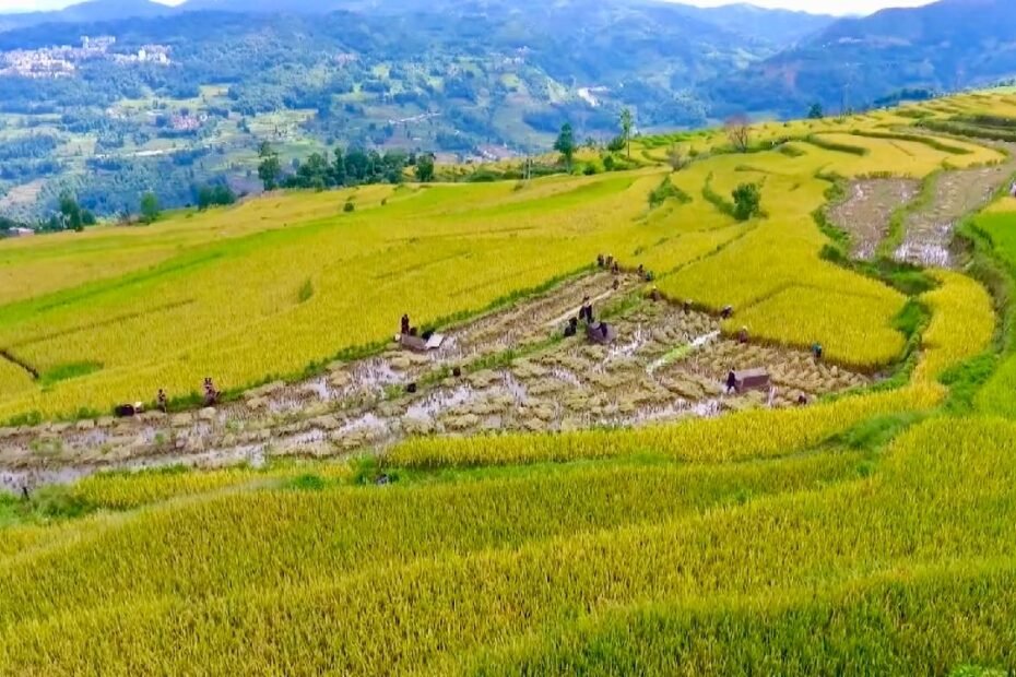 china-agrega-4-sitios-a-la-lista-de-estructuras-de-riego-del-patrimonio-mundial