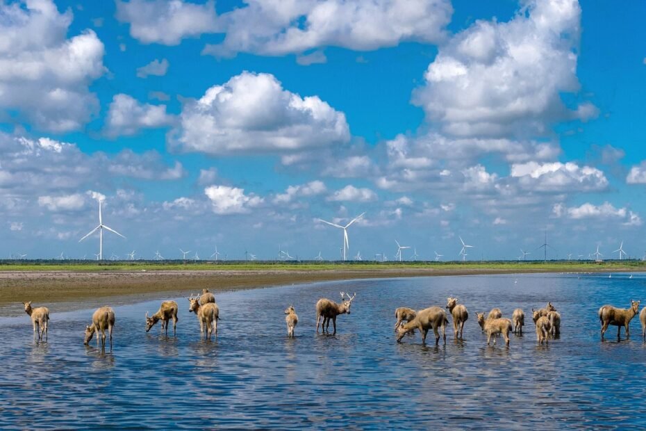 china-se-esta-volviendo-mas-limpia-y-ecologica,-dice-un-informe-importante