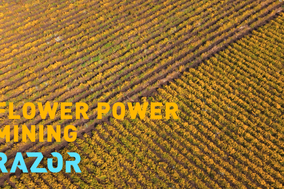 razor:-un-enfoque-sostenible-para-la-mineria-alimentada-por-la-energia-de-las-flores