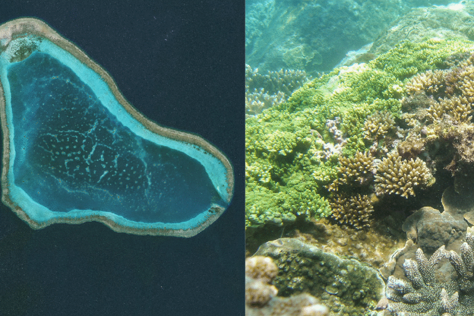 la-reserva-huangyan-dao-de-china-salvaguarda-el-ecosistema-de-arrecifes-de-coral