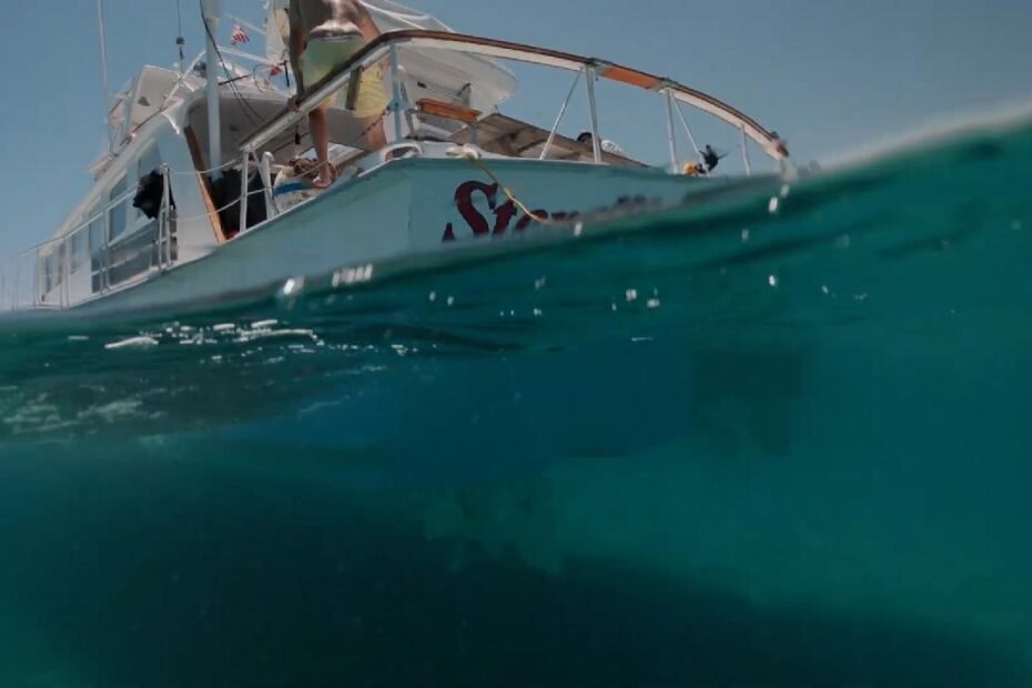 google-estrena-el-modelo-dolphin-ai