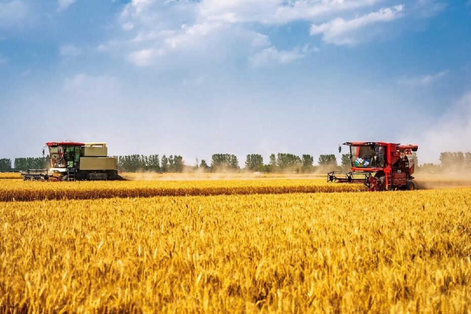 china-defiende-firmemente-linea-roja-para-proteccion-de-tierras-agricolas