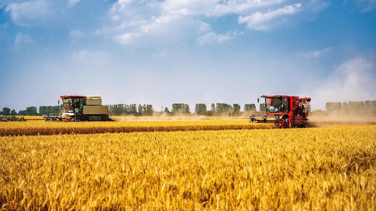 china-defiende-firmemente-linea-roja-para-proteccion-de-tierras-agricolas